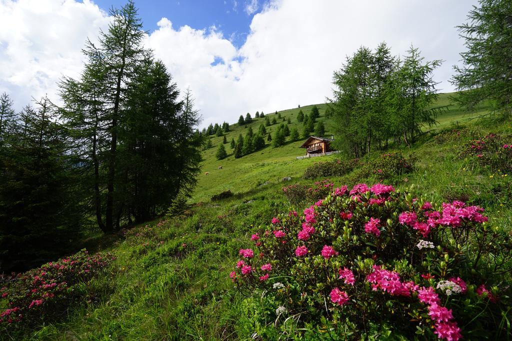 Apartament Unterhabererhof Santa Maddalena Zewnętrze zdjęcie